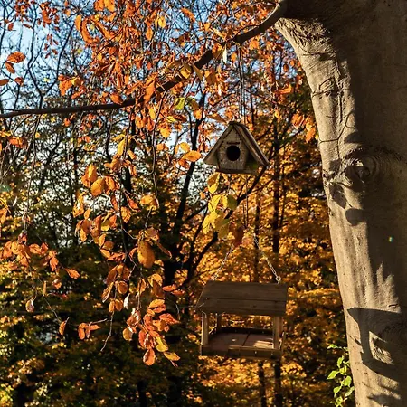 Rocawood - By Myhomeincomo Vakantiehuis Brunate